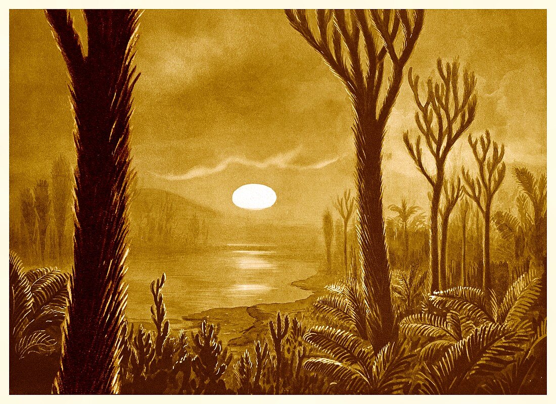 Life on Venus, early 20th century illustration