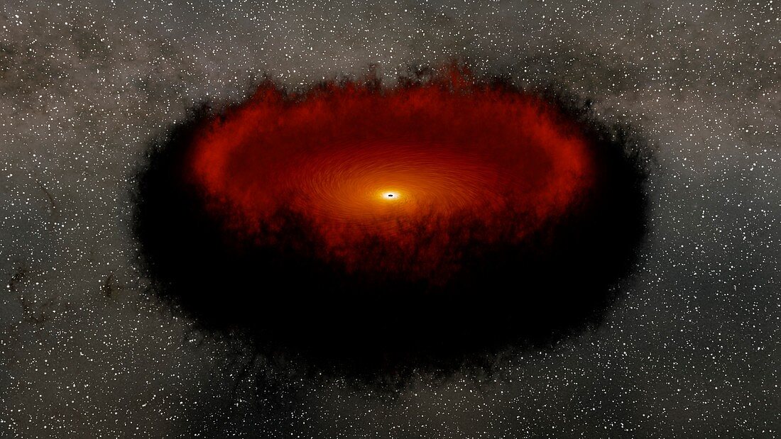 Echo mapping using supermassive black holes, illustration