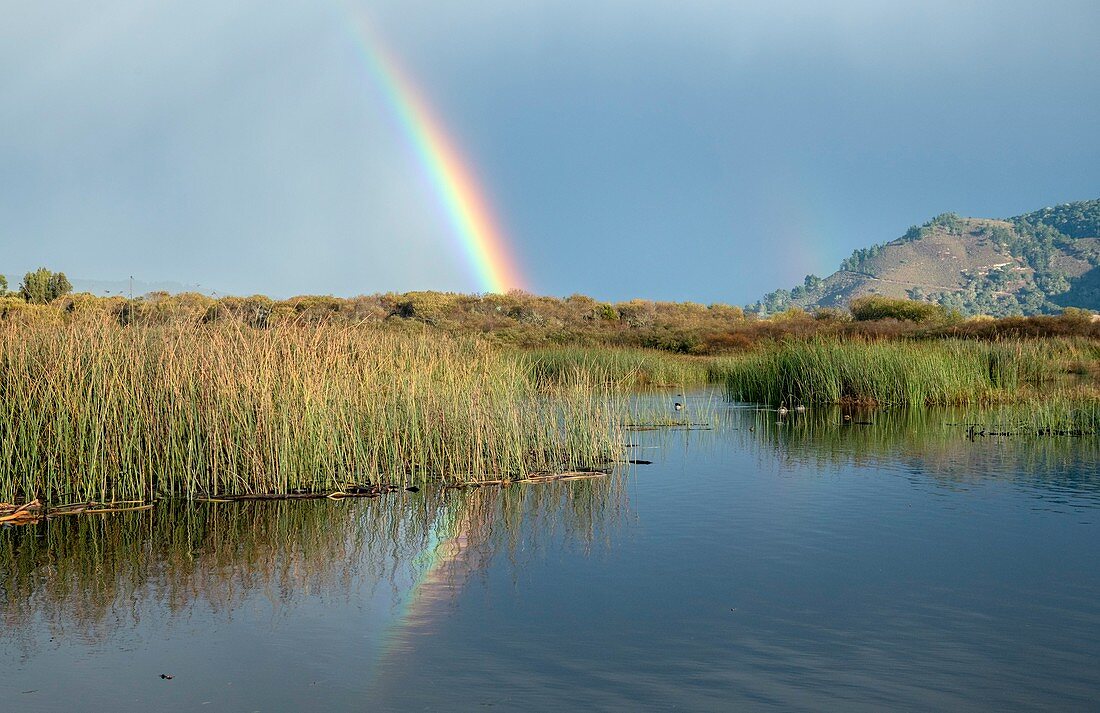 Rainbow over marsh at Carmel River State Beach, USA