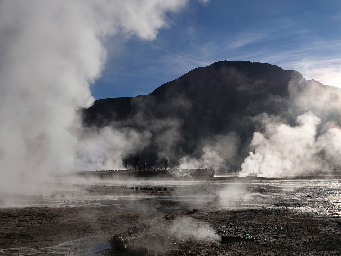 Steaming geysers and early morning light at El Tatio, Chile