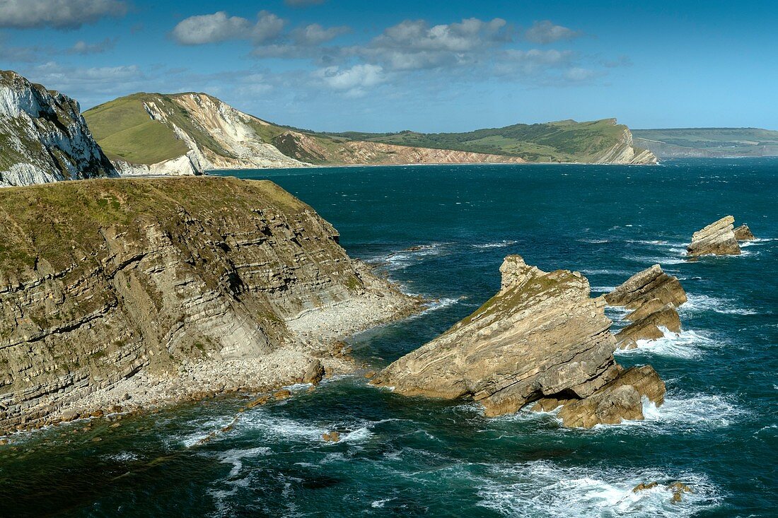Chalk cliffs, Dorset, UK