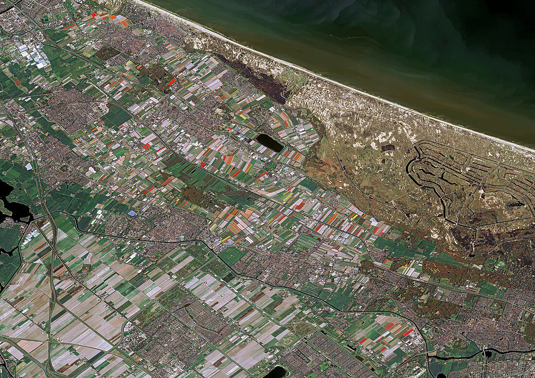Hoofddorp, Netherlands, satellite image