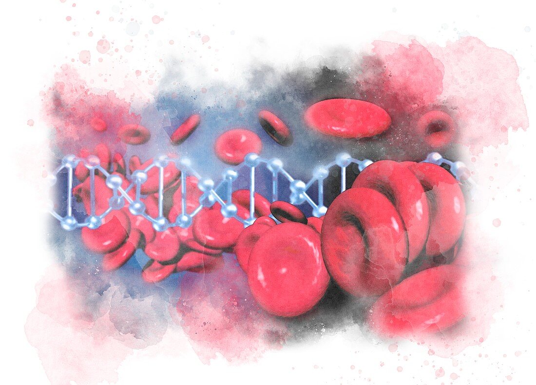 Genetic blood disorder, conceptual illustration