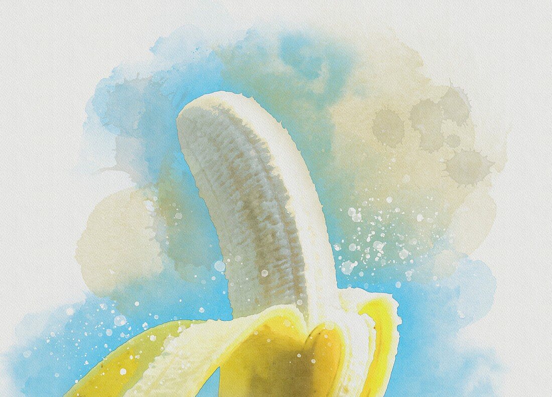 Peeled banana, illustration