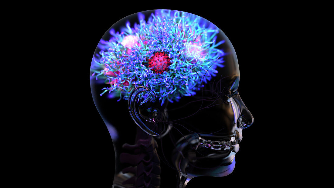 Covid-19 virus infecting the brain, illustration