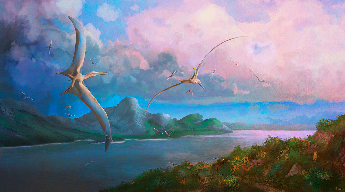 Cimoliopterus pterosaurs in flight, illustration