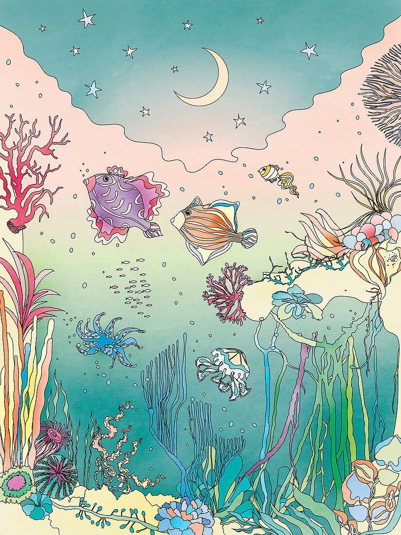 Sea creatures underwater, illustration