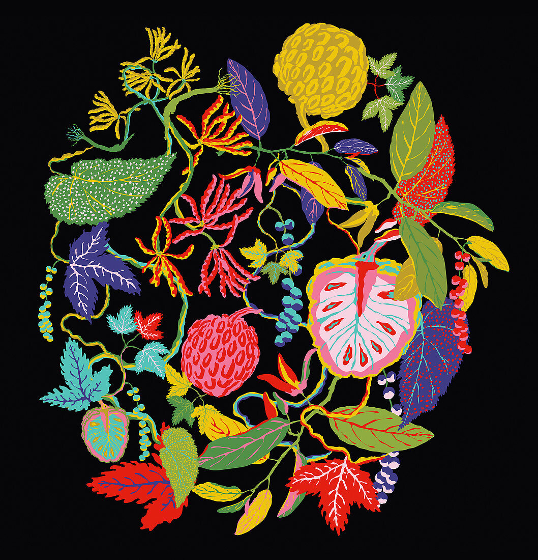 Brightly coloured leaves and fruit, illustration