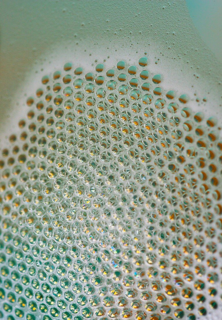 Bubbles in a hexagonal array.