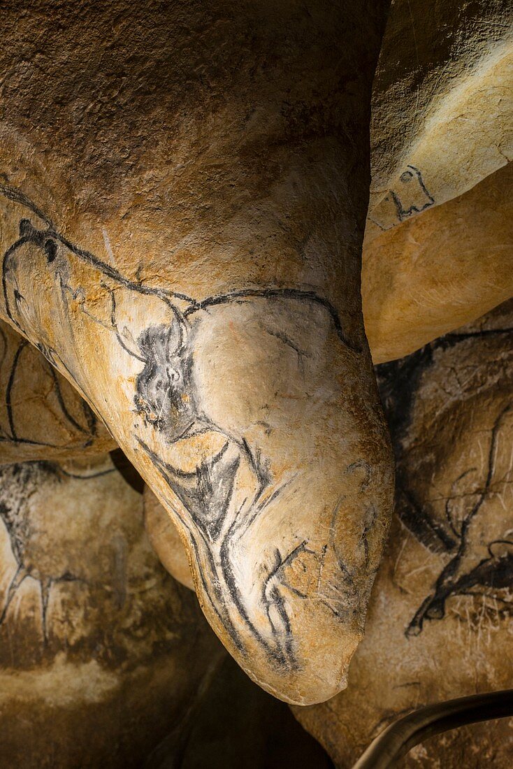 Cave art drawing, Chauvet Cave replica, France
