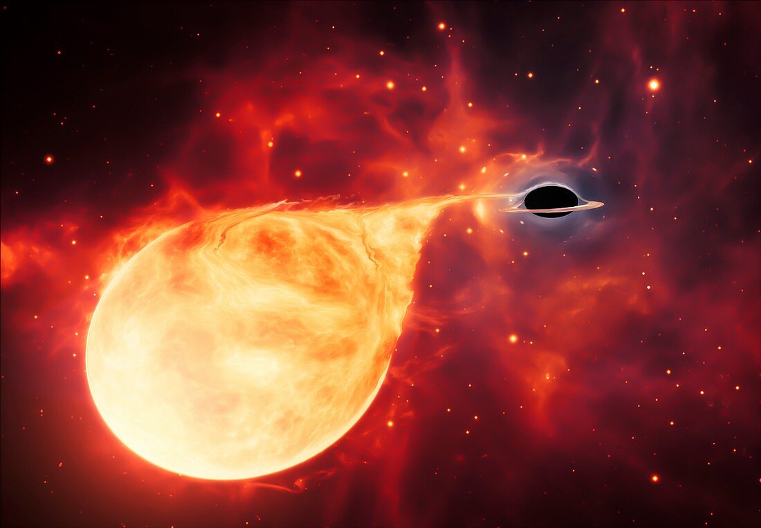 Black hole pulling material from a star, illustration