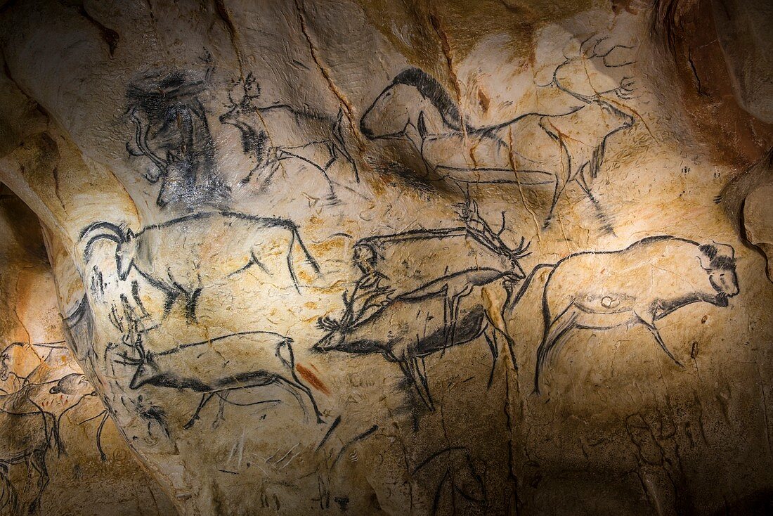 Deer drawings, Chauvet Cave replica