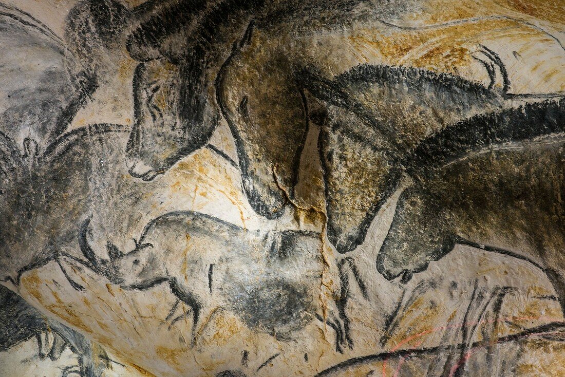 Horse panel, Caverne du Pont d'Arc, France