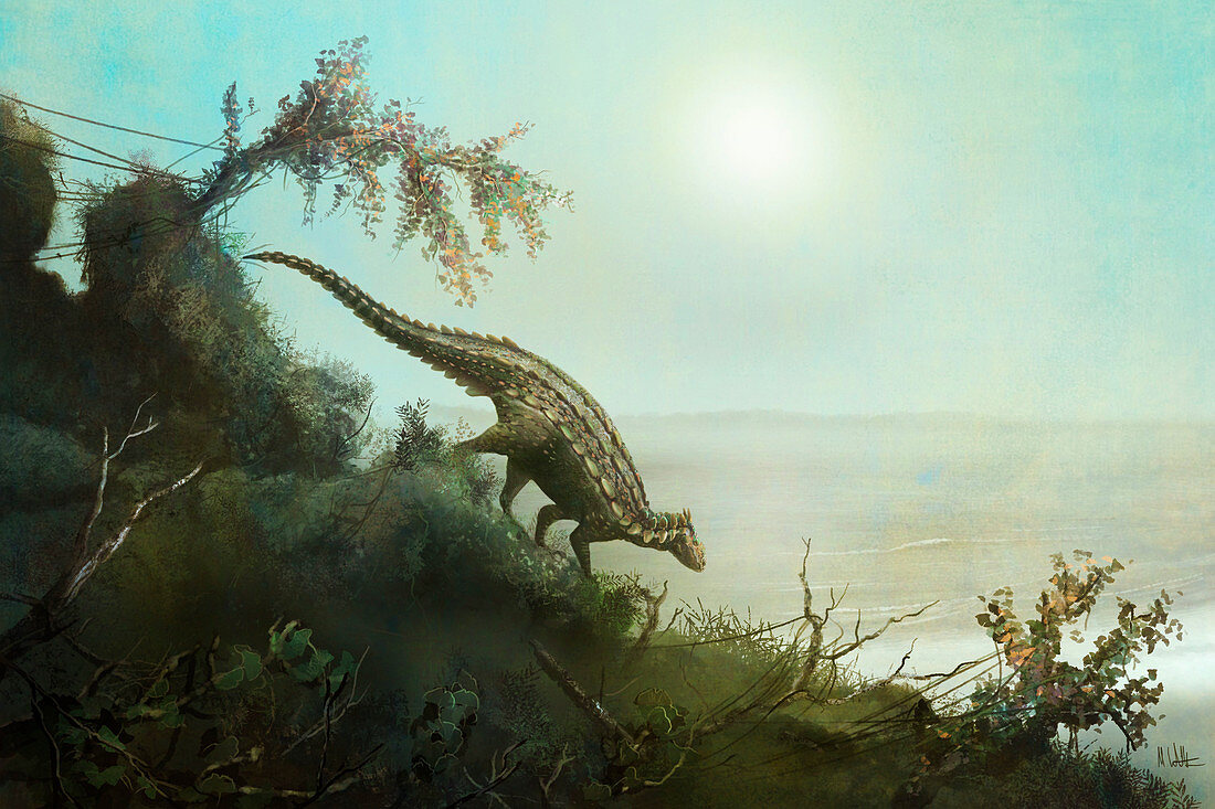 Scelidosaurus dinosaur, illustration