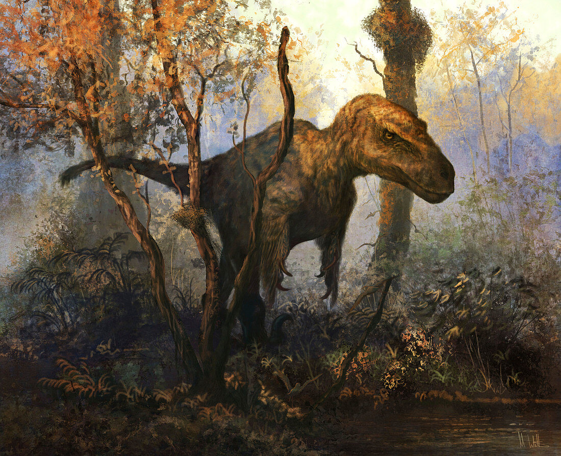 Utahraptor dinosaur, illustration