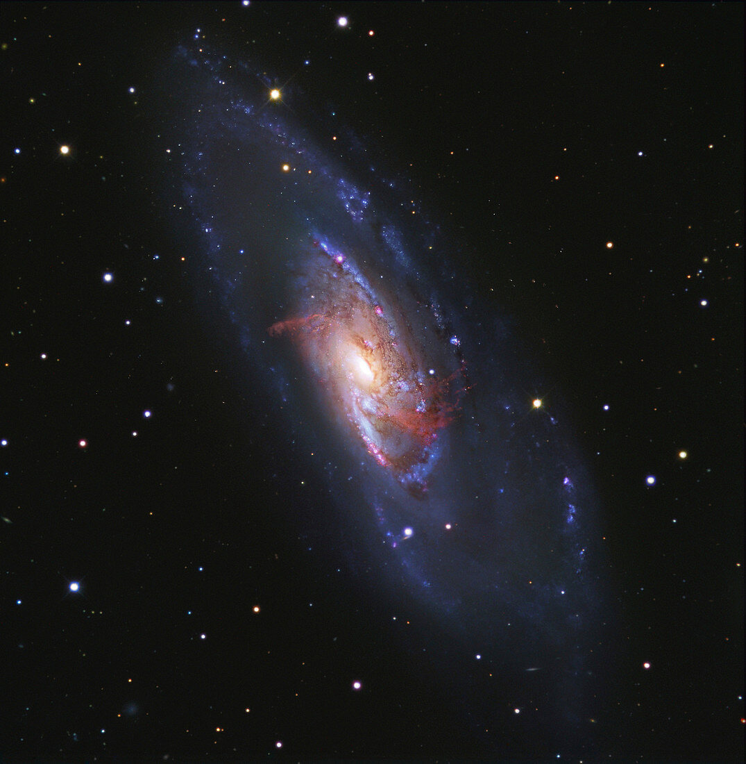 Spiral galaxy M106, composite image