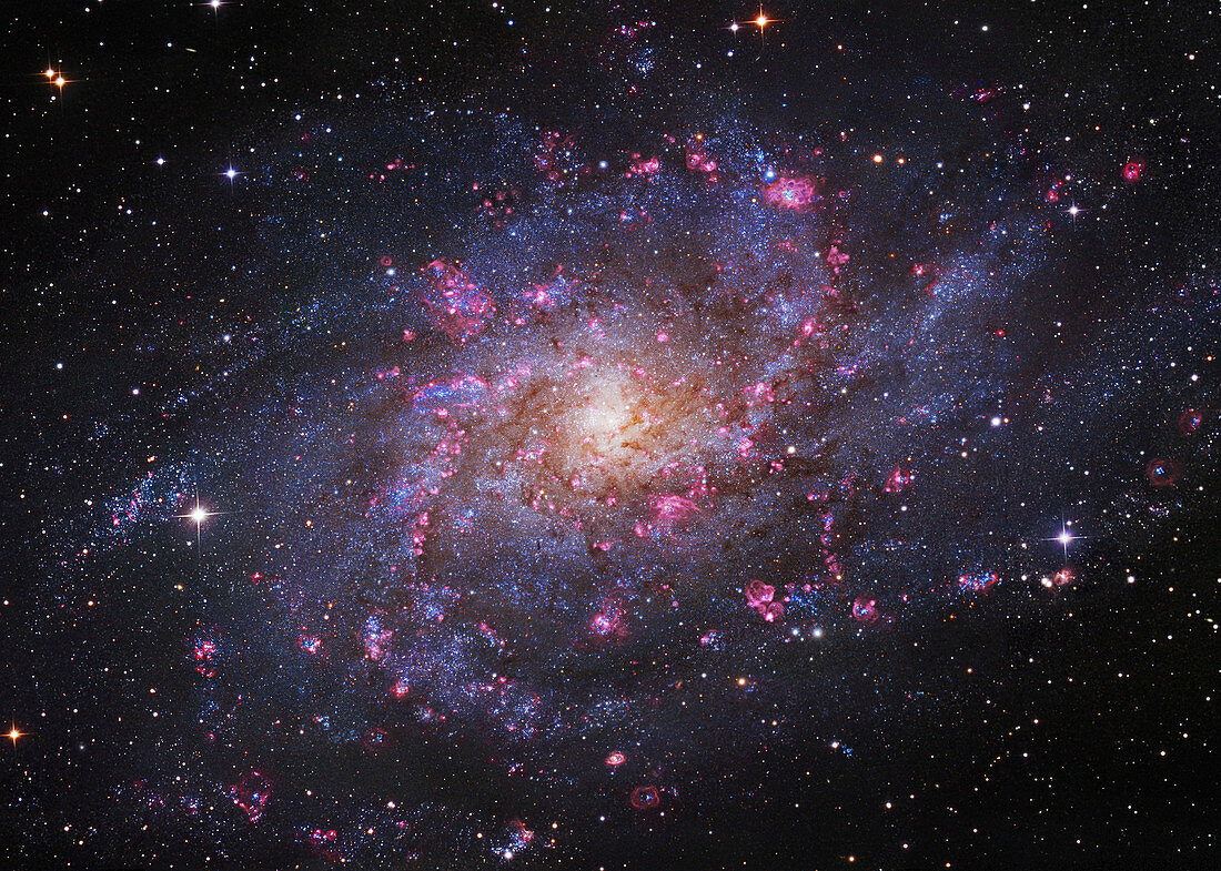 Triangulum Galaxy (M33), optical image