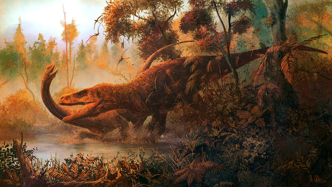 Megalosaurus attacking a Cetiosaurus, illustration