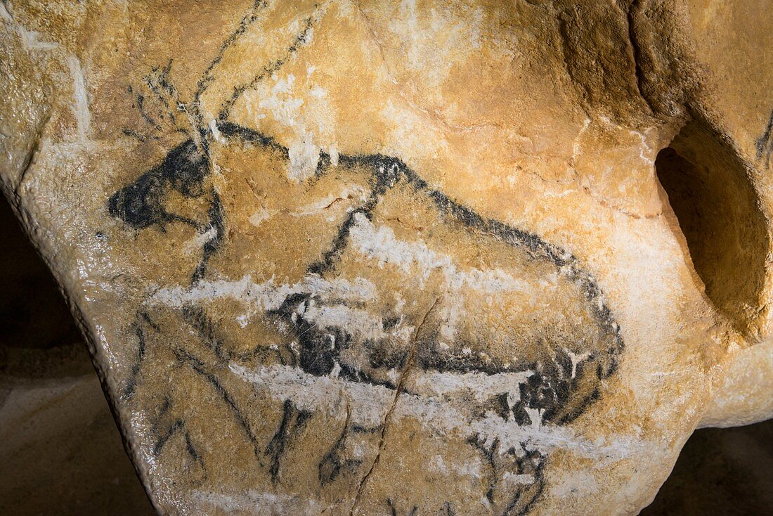 Reindeer drawing, Chauvet Cave replica, France