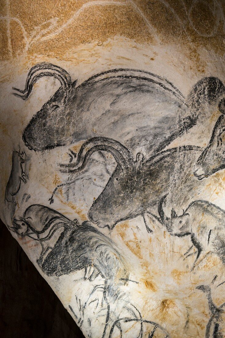 Aurochs panel drawing, Chauvet Cave replica