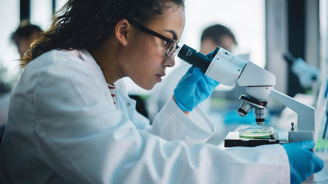 Scientist using microscope in laboratory