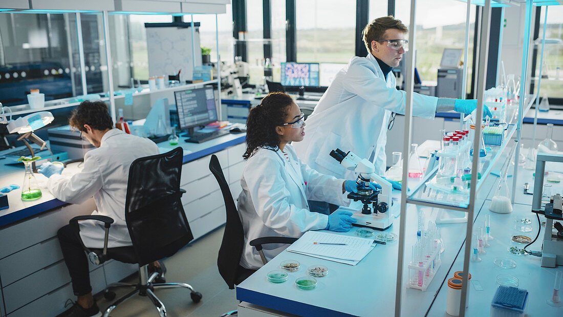 Scientists working in laboratory