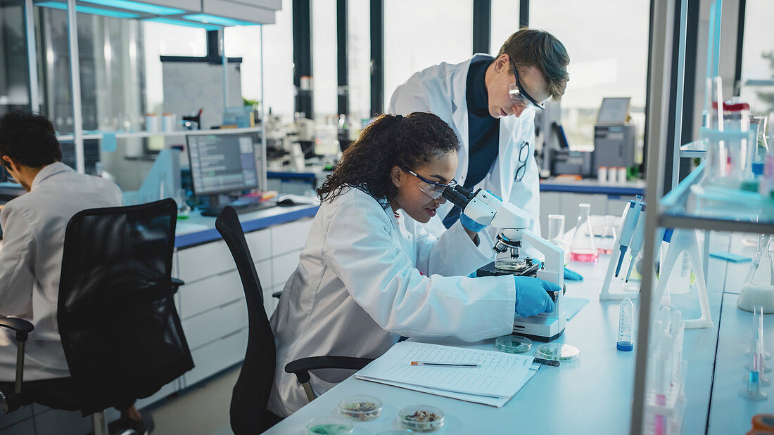 Scientists working in laboratory