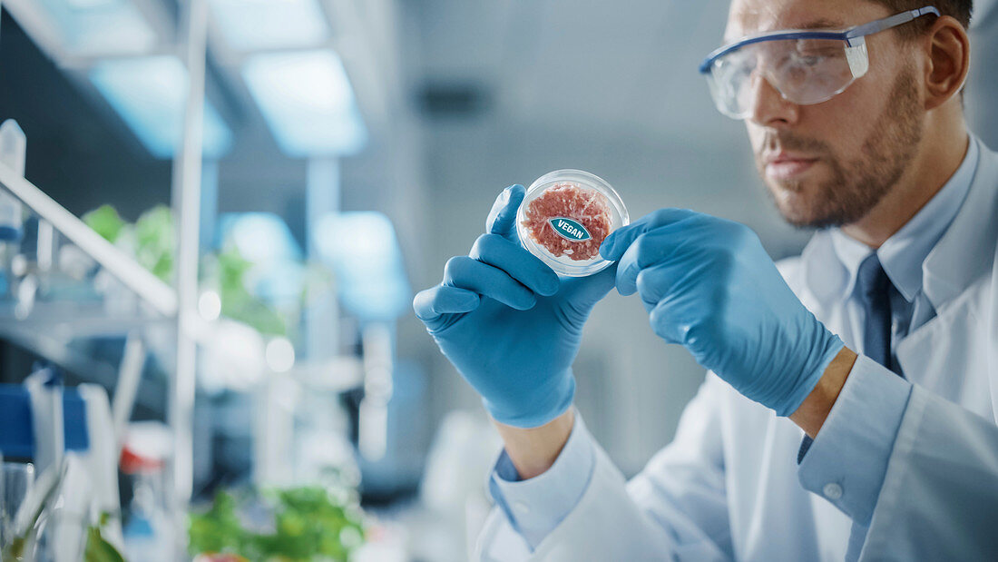 Scientist looking at a lab-grown vegan meat