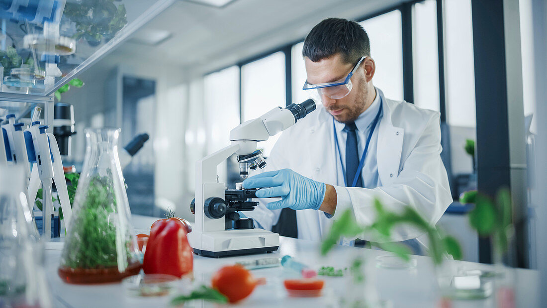 Scientist puts lab-grown vegan meat sample under microscope