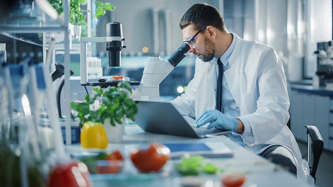 Scientist working on a laptop computer