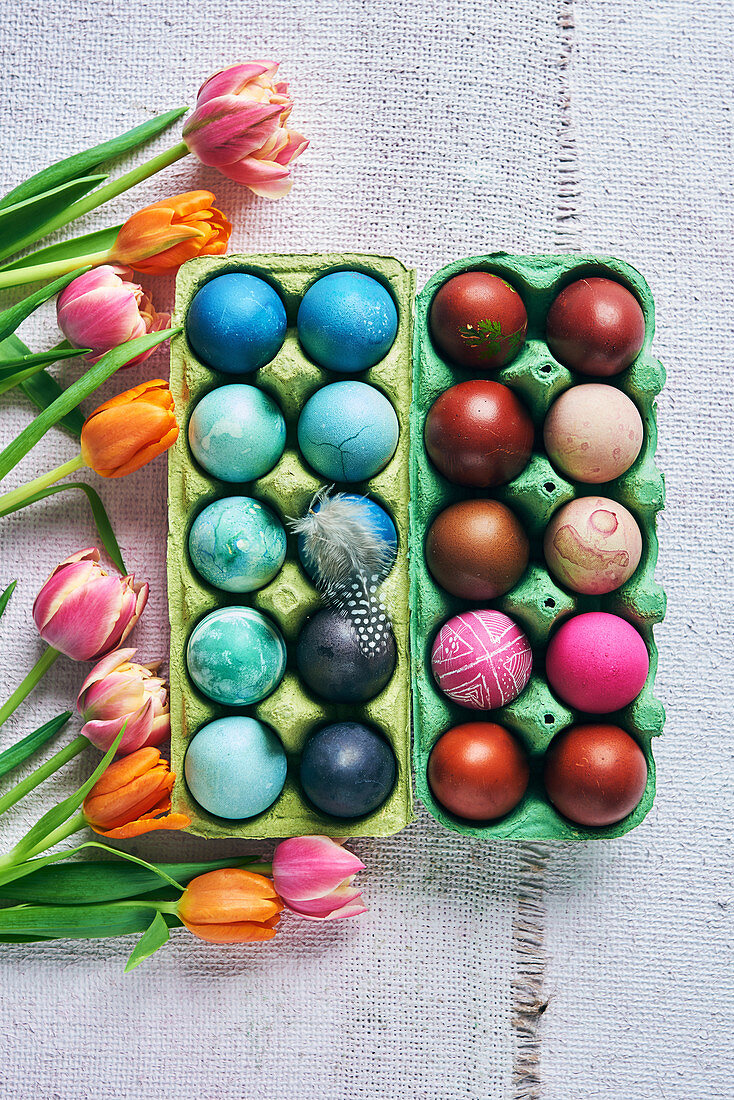 Colorful dyed Easter eggs in blue and red shades