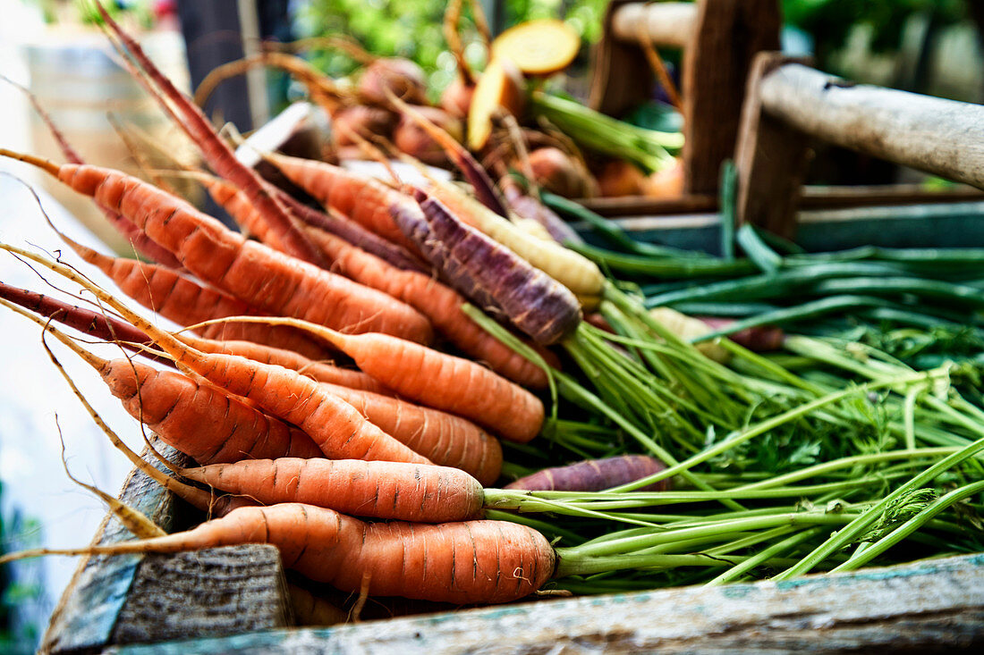 Colorful organic carrots