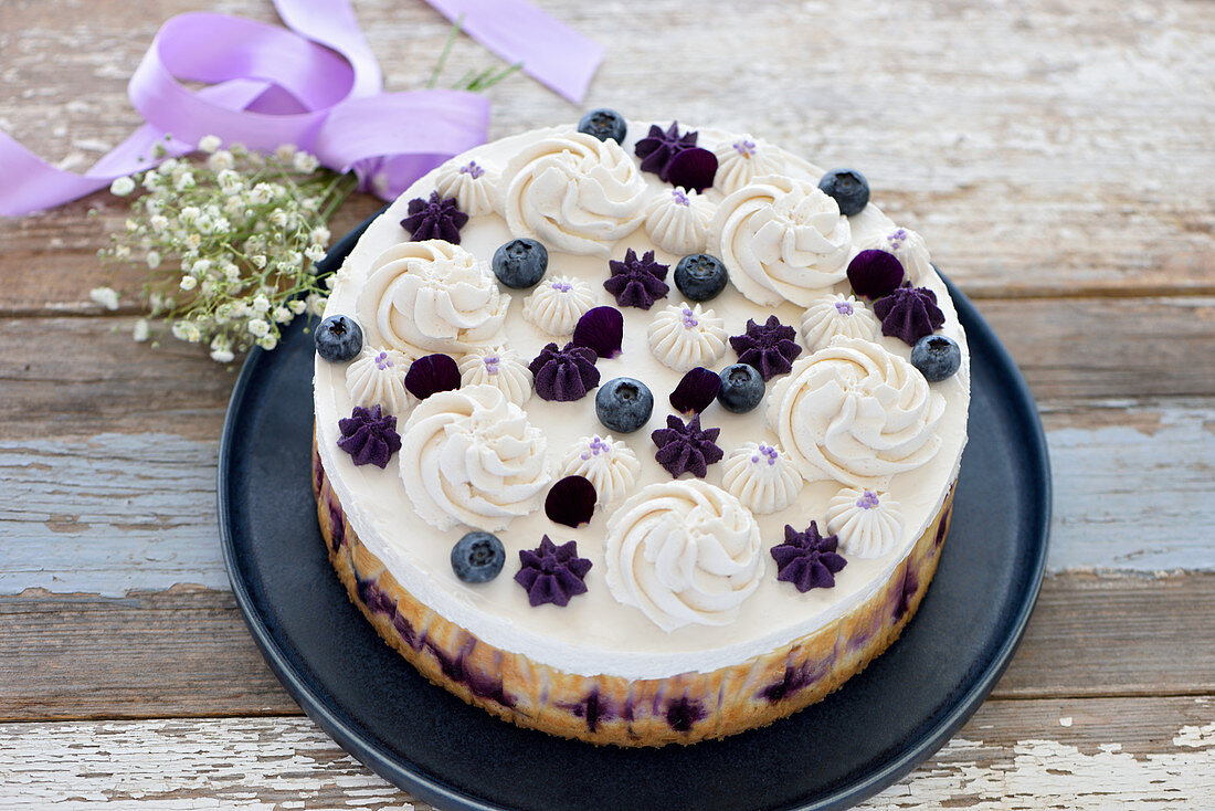 Vegan blueberry cheesecake with a hazelnut and blueberry base