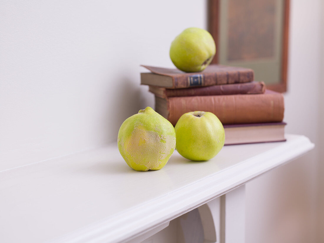 Quince fruit on wooden mantle with old books