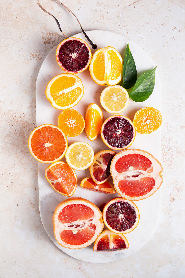Zitronen, Grapefruits, Orangen und Blutorangen geschnitten auf einem Schneidebrett