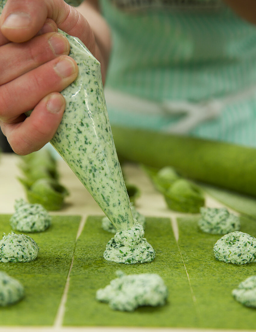 Filling fresh Agnolotti pasta with ricotta and spinach