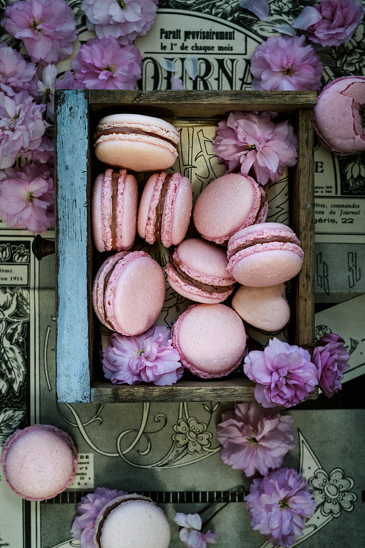 Pink macarons