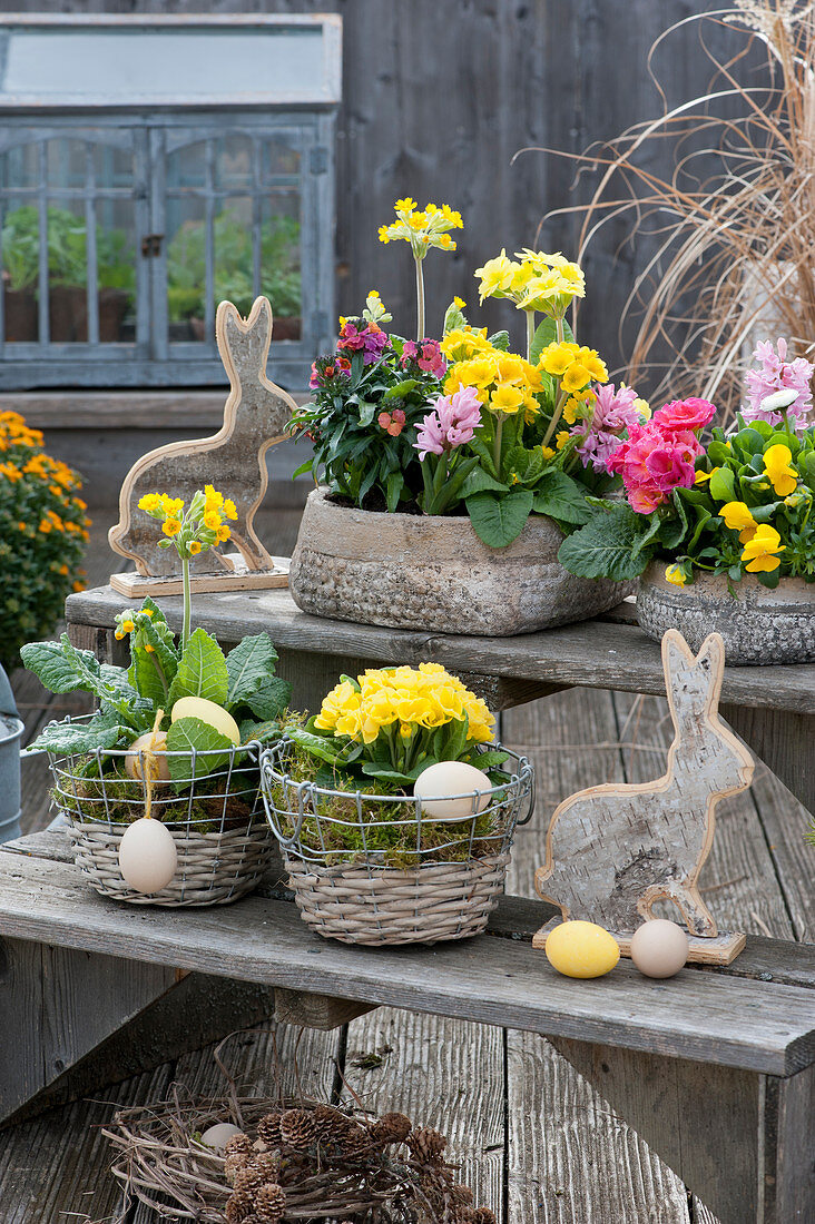 Arrangement on flower stairs: bowls and baskets with primroses, cowslip, wallflower 'Winter Orchid', horned violets and hyacinths, Easter bunnies and Easter eggs, a wreath of larch cones