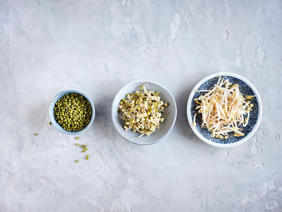 Mung beans, sprouts and sprouts