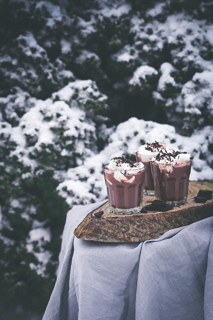 Winter hot chocolate with whipped cream