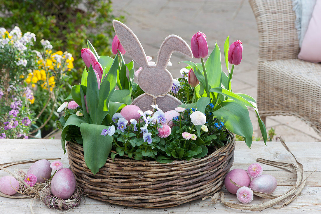Easter basket with fringed tulips 'Split', horned violets, Tausendschon Rose, and forget-me-nots, Easter bunny, and Easter eggs