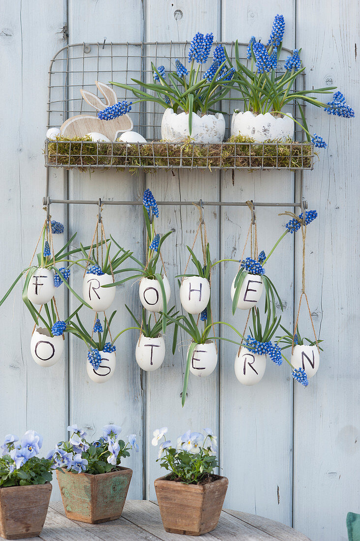 Easter decoration in blue and white: grape hyacinths in pots on moss, Easter bunny, and flowers in eggshells with the message 'Happy Easter.