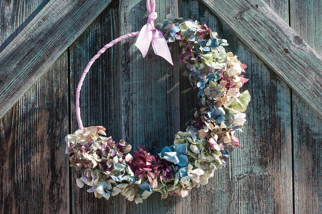 Door wreath made of hydrangea blossoms in different colors