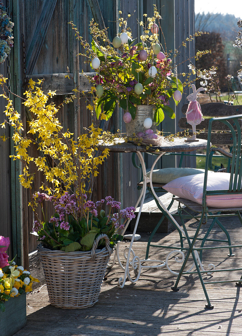 Easter terrace with Forsythia 'Lynnwood' and bergenia 'Rosenkristall' in a basket, Easter bouquet of flowering twigs and Lenten roses, Easter bunny