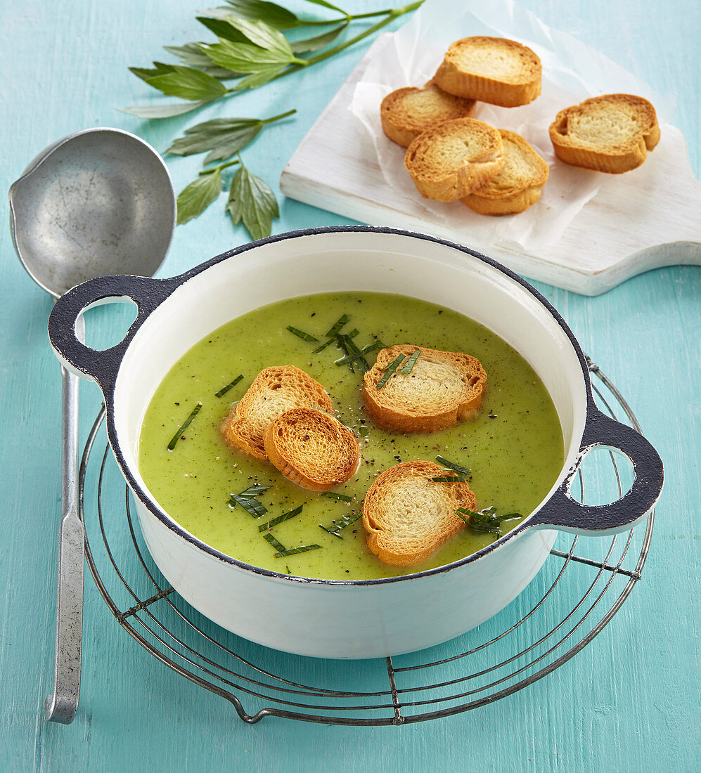 Zucchini soup with croutons