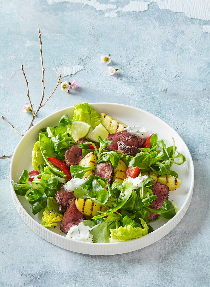 Springly salad with roast beef