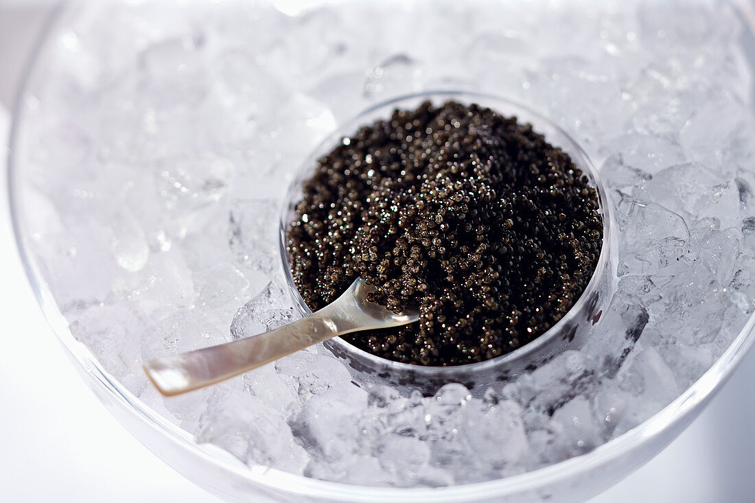 Kaviar mit Perlmuttlöffel auf Eis