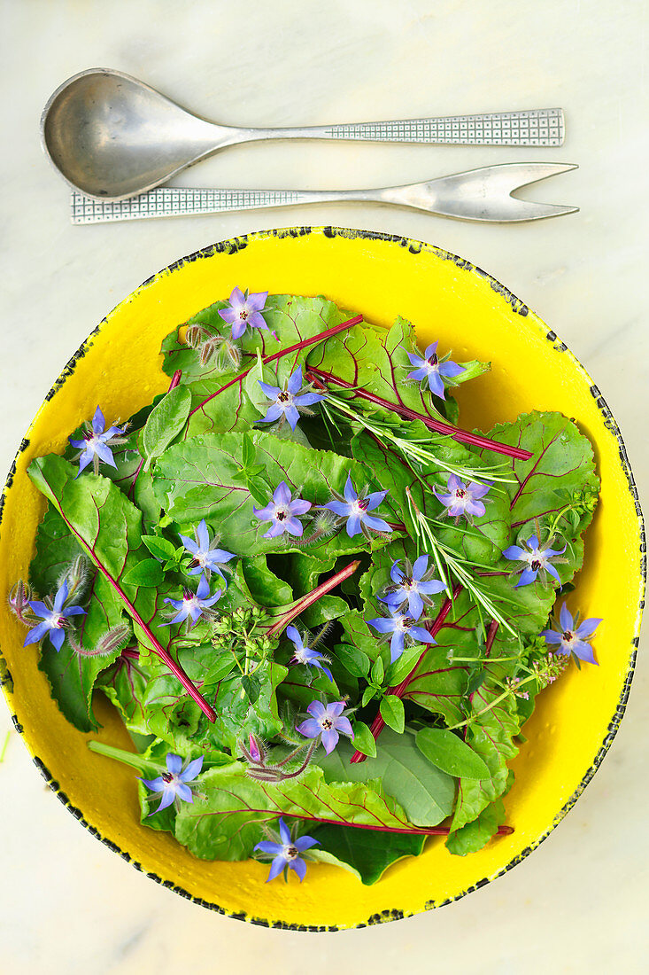 Spinatsalat mit Borretschblüten, Oregano, Basilikum und Rosmarin