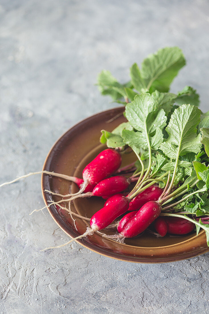 Fresh radish on a plate