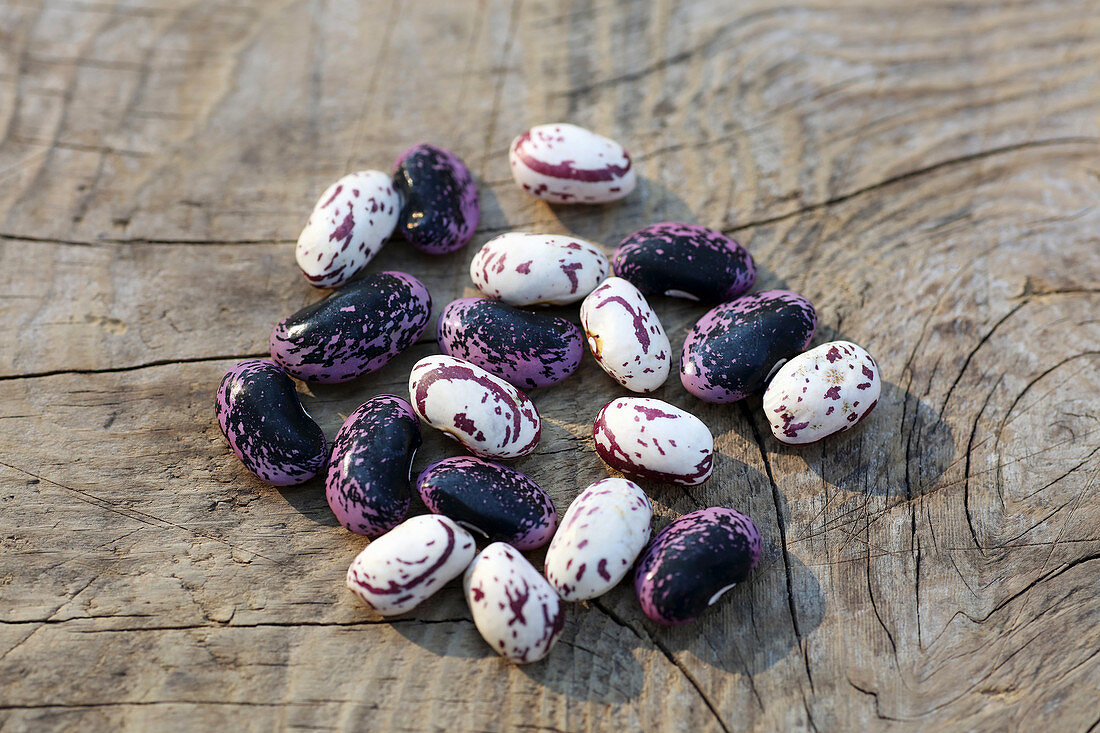 Bean kernels from French beans and Borlotti beans